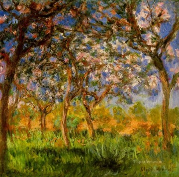  spring Canvas - Giverny in Springtime Claude Monet